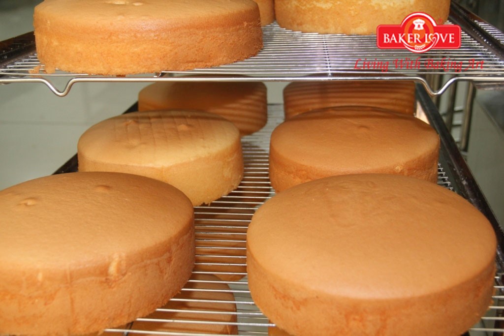 Dạy làm bánh bông lan bơ sữa – bông lan dạng ổ, phương pháp nguyên trứng (Buttermilk Sponge Cake)