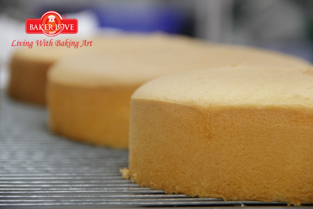 Dạy làm bánh bông lan sữa tươi dạng ổ, phương pháp tách trứng (Vanilla – Fresh Milk Chiffon)